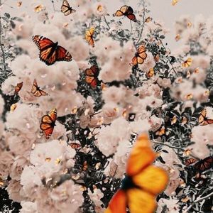 Meet your Posher, Tatum